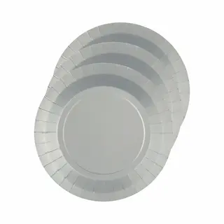 Santex Bordjes Karton - 10x - Rond - Zilver - 22 Cm - Feestbordjes