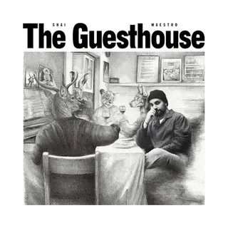 Amped The Guesthouse