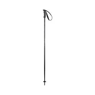 Elan - Skipole Hotrod Black - Skistokken Heren - Zwart