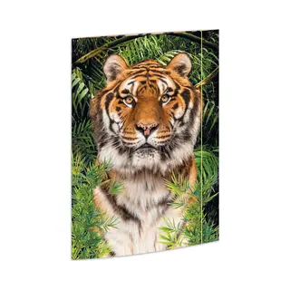 Rnkverlag 45367 - Zeichenmappe Tiger 310 X 440 Mm, Dokumentenmappe Für Din A3, Mit Gummizugverschluss, 1 Stück