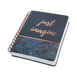 Sigel JN603 Notizbuch A5 240 Blätter Schwarz, Blau