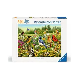 Ravensburger Vogelwiese