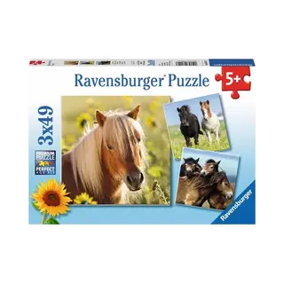 Ravensburger 4005556080113 Legpuzzel 49 stuk(s) Dieren