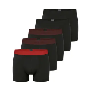 Schiesser Boxershorts 95/5 Organic Cotton