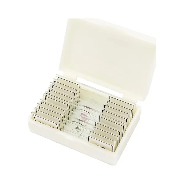 Bresser Microscoop Voorgeprepareerde Preparaten - 10 Stuks thumbnail
