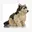 Beige, Grijs, Zwart