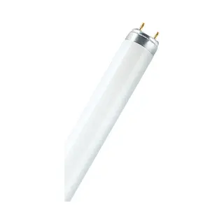 Osram Lumilux T8 Leuchtstofflampe 58 W G13 Himmel weiß