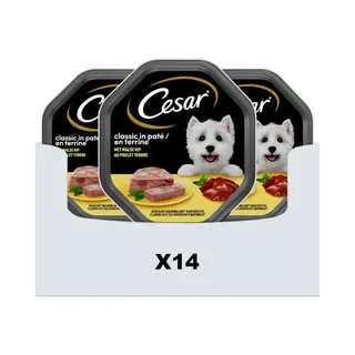 14x Cesar Alu Kip 150 Gr