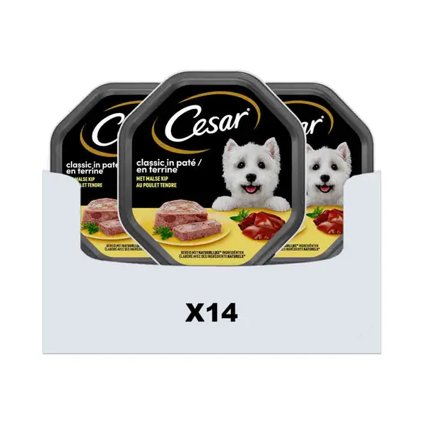 14x Cesar Alu Kip 150 Gr thumbnail