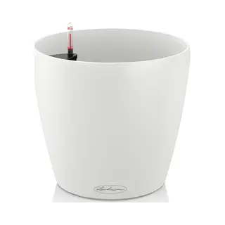 Lechuza Classico Color 43 Drinnen Topfpflanzer Freistehend Polypropylen (Pp) Weiß