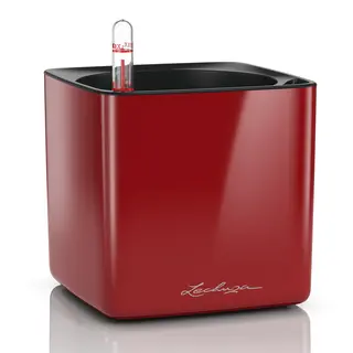 Lechuza Cube Binnen Plantenpot Vrijstaand Polypropyleen (Pp) Rood