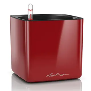 Lechuza Cube Binnen Plantenpot Vrijstaand Polypropyleen (Pp) Rood