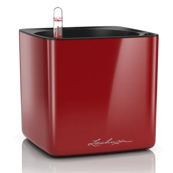 Lechuza Cube Binnen Plantenpot Vrijstaand Polypropyleen (Pp) Rood thumbnail