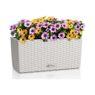 Lechuza Balconera Cottage 40 Binnen/buiten Box plantenbak Vrijstaand Gerecycleerd plastic Licht Grijs
