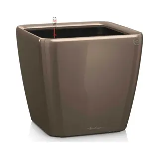 Quadro Premium Ls 28 Komplettset Taupe Hochglanz - Lechuza