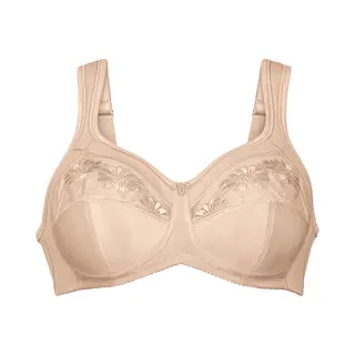 Anita Bh Safina