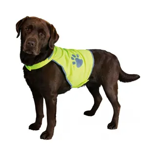 Trixie 30082 dog safety vest M Polyester Green