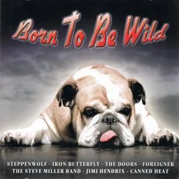 Various - Born To Be Wild thumbnail