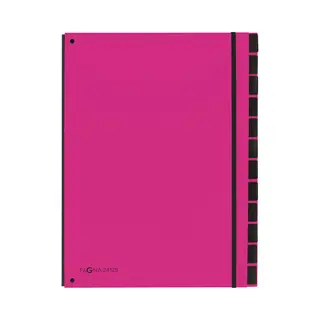 Pagna 24129-34 divider book Pink Cardboard, Polypropylene (Pp) A4