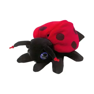 Beleduc 40034 pop