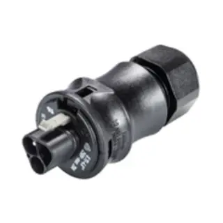 Wieland Electric RST20I3S S1 ZR1 V Sw 1 Stück(e)