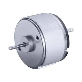 Igarashi 3020-495-Gfv-3 Universal Brushed Motor For 12V/Dc Cool Boxes