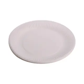 Wegwerp Bordjes - 10x Stuks - Karton - Wit - D23 Cm - Feest/verjaardag/Bbq Borden
