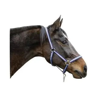 Covalliero Nylonhalfter Hippo, Halfter Nylon Großes Warmblut, Marine/Hellblau