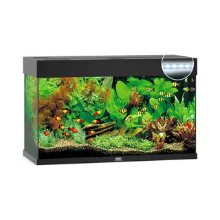 Juwel Rio 125 Led Aquarium - Zwart - 125L - 80 X 35 X 50 Cm