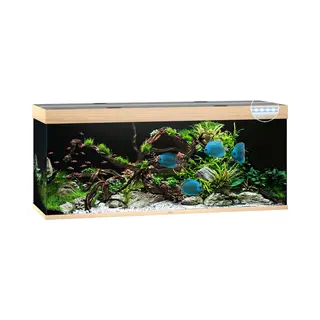 Juwel Aquarium Rio 450 Led 151x51x61 Cm - Aquaria - Licht Hout