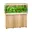 Houtkleur, Licht Hout