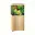 Licht Hout