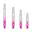 Roze