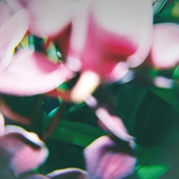 Trade Wind You Make Everything Disappear thumbnail