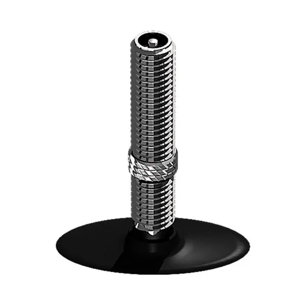 Schwalbe, Fietsbuis, (Schrader (Av), 22", 40 mm) thumbnail