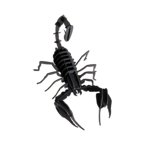 Fridolin 3D Papier Model - Schorpioen. thumbnail