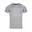 Silver Grey