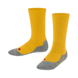 Falke 10450-1393-19-22 Sock 1 Paar/Paaren
