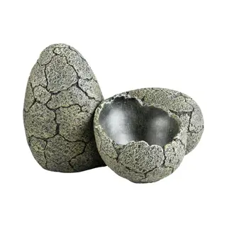 Ebi Terra Della Eggs L, Terrarium Decoratie