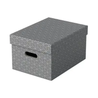 Esselte Home Storage Box Medium, Pack of 3