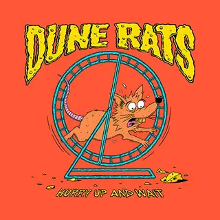 Universal Music Nederland Dune Rats - Hurry Up And Wait (Lp)
