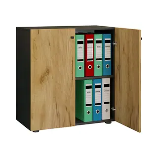 Ebuy24 Büroschrank Aktenschrank Lona 2fach
