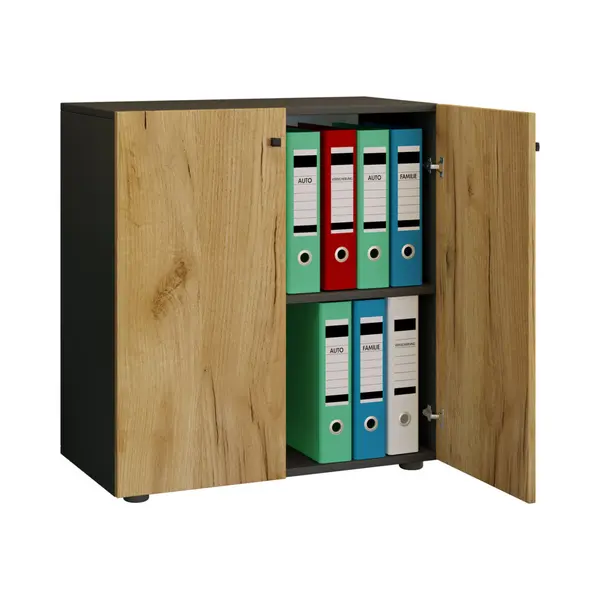 Ebuy24 Büroschrank Aktenschrank Lona 2fach thumbnail