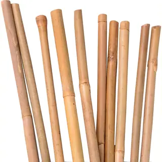 Unus® Bamboestokken, Tonkinstokken, Plantensteunen 120 Cm, 10 Stuks
