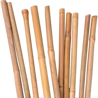 Unus® Bamboestokken, Tonkinstokken, Plantensteunen 120 Cm, 40 Stuks