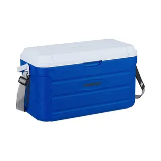 Koelbox - 20 L - 29 X 52, 5 X 26, 5 Cm - Onderweg - Schouderband En Handvat - Niet Elektrisch