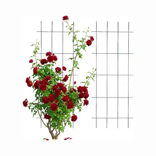 Klimrek - 2 Stuks - 45x115 Cm - Zwart