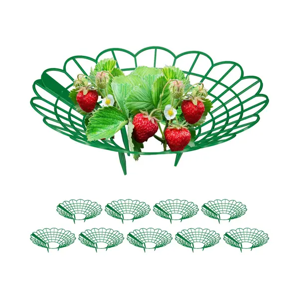 Relaxdays, Accessoires Voor Planten, Erdbeerreifer-Set (30 cm, 30 cm) thumbnail