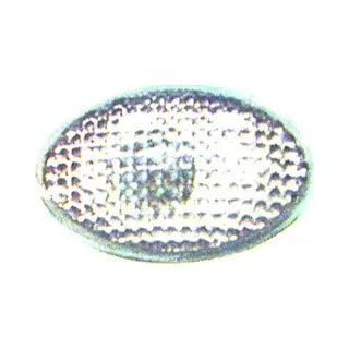 Diederichs 1812077 Blinker Hd Tuning Beidseitig, Weiß, Ohne Lampenträger