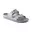 Metallic Silver